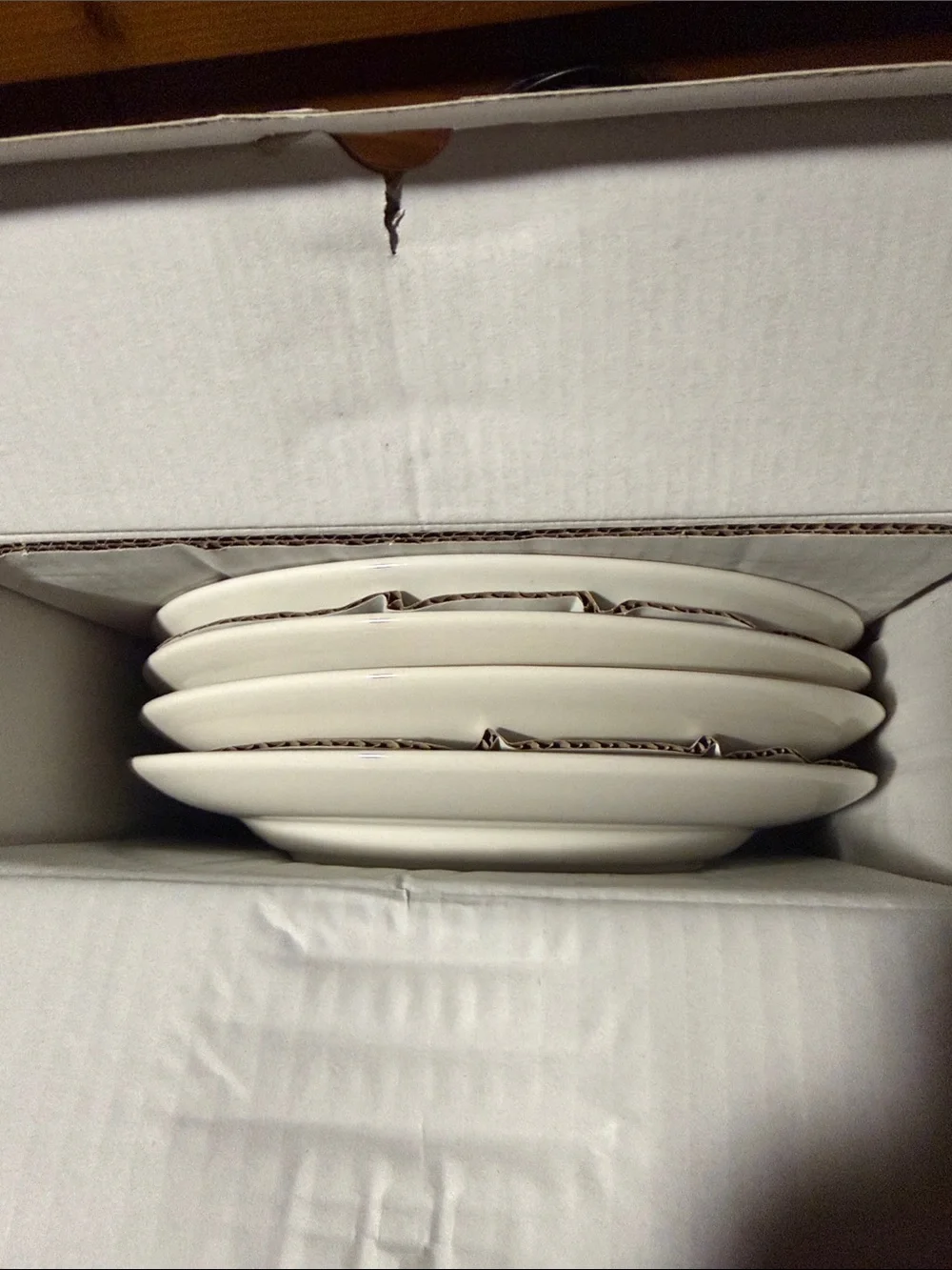 Pottery Barn Botanical Harvest Set Of 4 Salad Plates BNIB